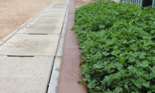 ゴムチップ舗装