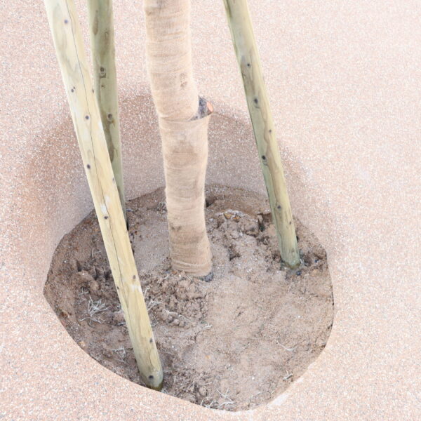 大阪府池田市 公園施設 ゴムチップ舗装 ソフトグラウンド