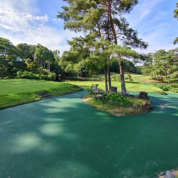 ゴムチップ舗装　ソフトグラウンド