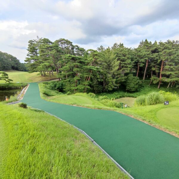 ゴムチップ舗装　ソフトグラウンド