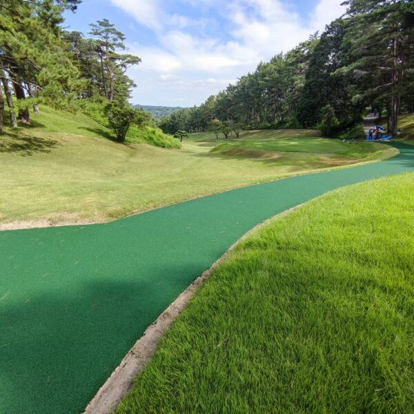 ゴムチップ舗装　ソフトグラウンド