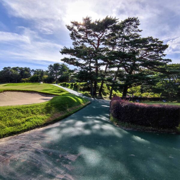 ゴムチップ舗装　ソフトグラウンド