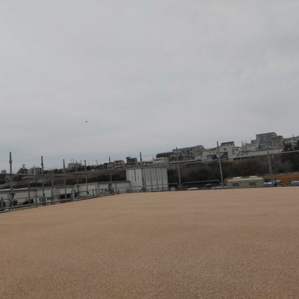 ゴムチップ舗装　ソフトグラウンド