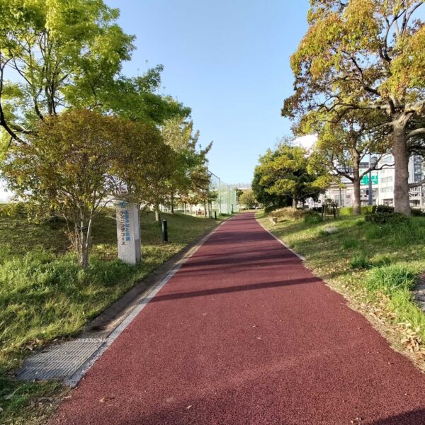 ソフトグラウンド　標準タイプ　ゴムチップ舗装