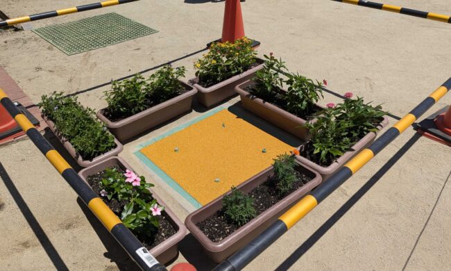 ゴムチップ舗装　ソフトグラウンド標準タイプ　溝蓋